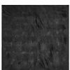 Dark Alternative | * Killstar Webbed Large Blanket Bedspread Black